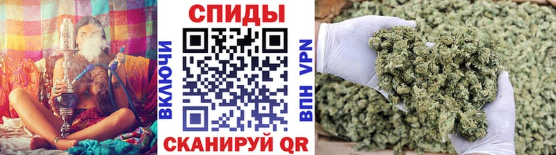 БУТИРАТ 99%  Терек 