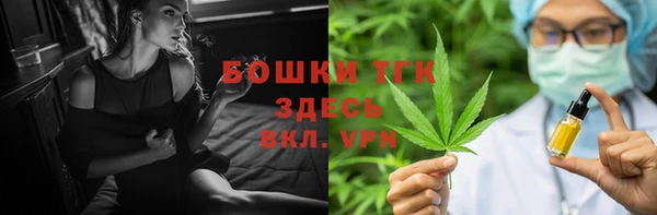 твердый Арсеньев