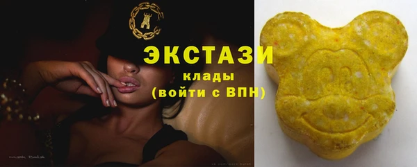 твердый Арсеньев