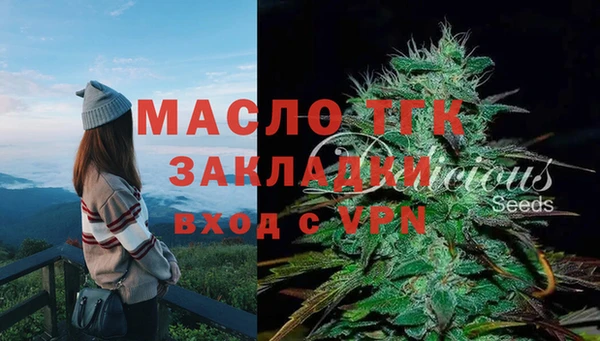твердый Арсеньев